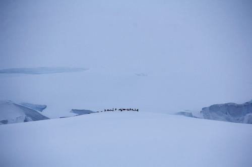 Antarktis_031