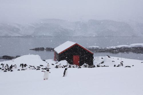 Antarktis_056