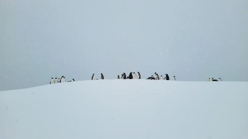 Antarktis_092