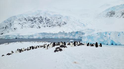 Antarktis_203