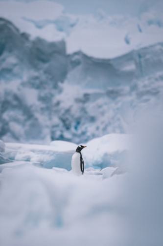 Antarktis_280