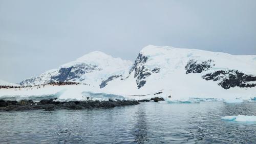 Antarktis_335