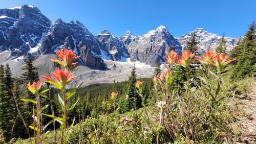 Kanada_0072