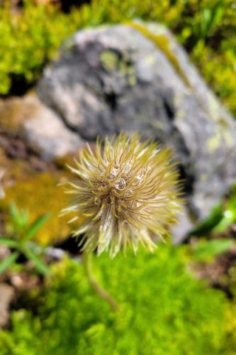 Kanada_0073