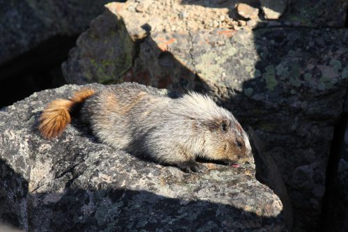 Kanada_0156