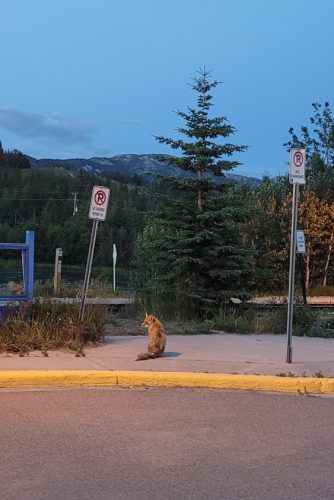 Kanada_0280
