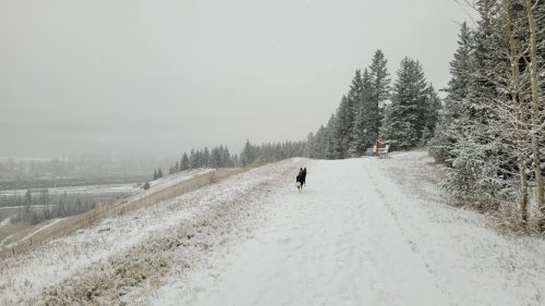 Kanada_1293