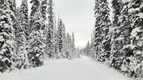 Kanada_1352