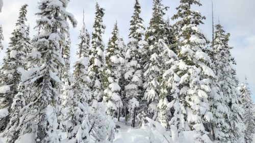 Kanada_1639