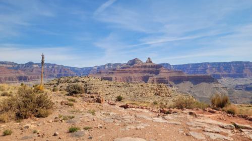 USA_0207