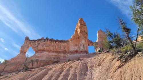 USA_0322