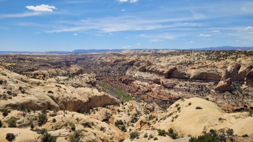 USA_0379