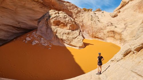 USA_0397