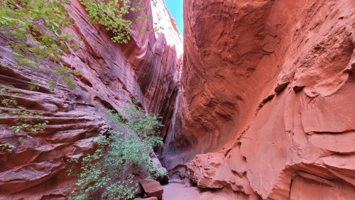 USA_0404