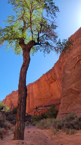 USA_0408