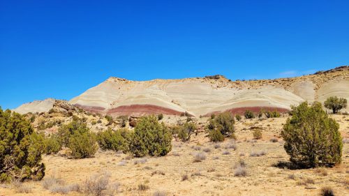 USA_0421