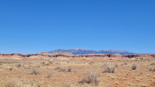 USA_0423