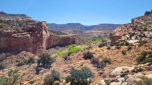 USA_0436