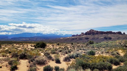 USA_0466