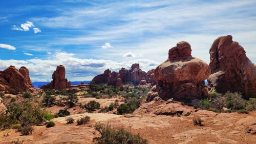 USA_0473