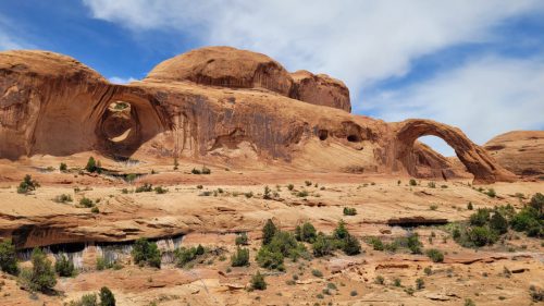 USA_0494