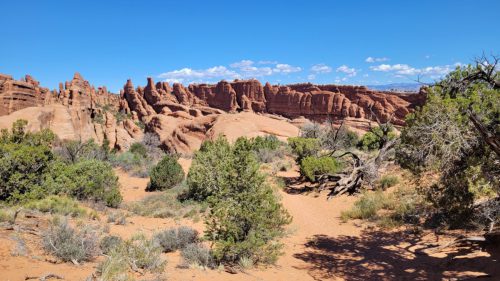 USA_0516