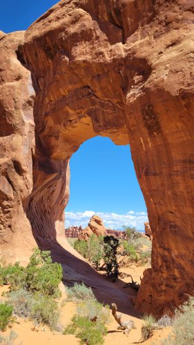 USA_0517