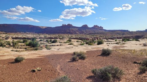 USA_0541