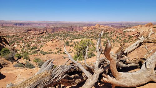 USA_0562