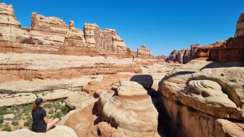 USA_0587