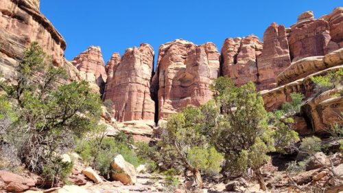 USA_0591