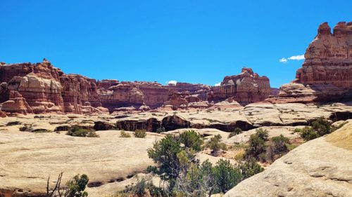 USA_0594