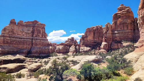 USA_0595