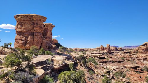 USA_0605