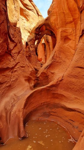 USA_0627