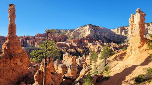 USA_0641