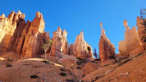 USA_0643