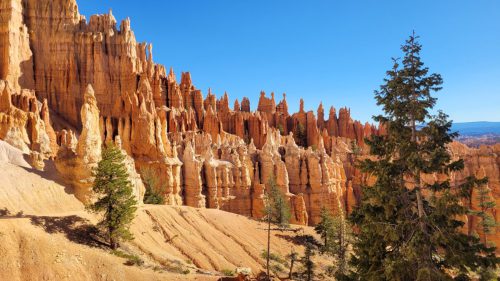 USA_0646