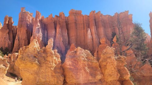 USA_0650