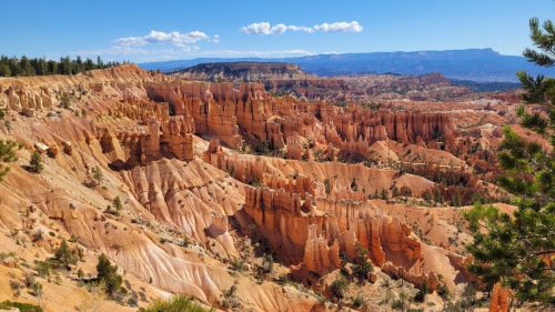 USA_0652