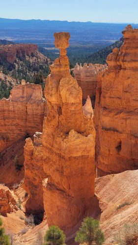 USA_0653