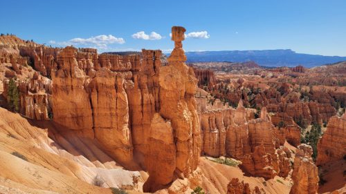 USA_0654