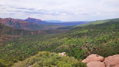 USA_0699
