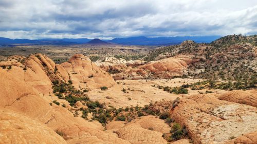USA_0710