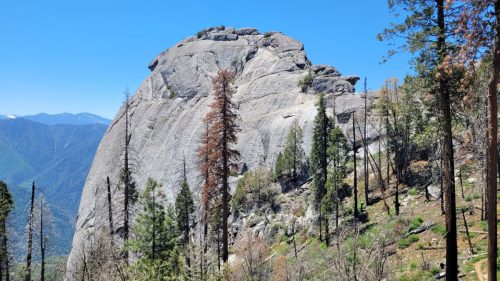USA_0737