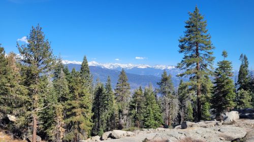 USA_0753