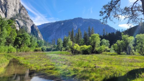 USA_0767