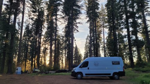 USA_0798