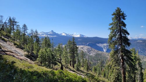USA_0845