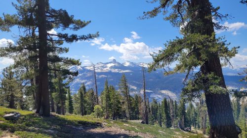USA_0847